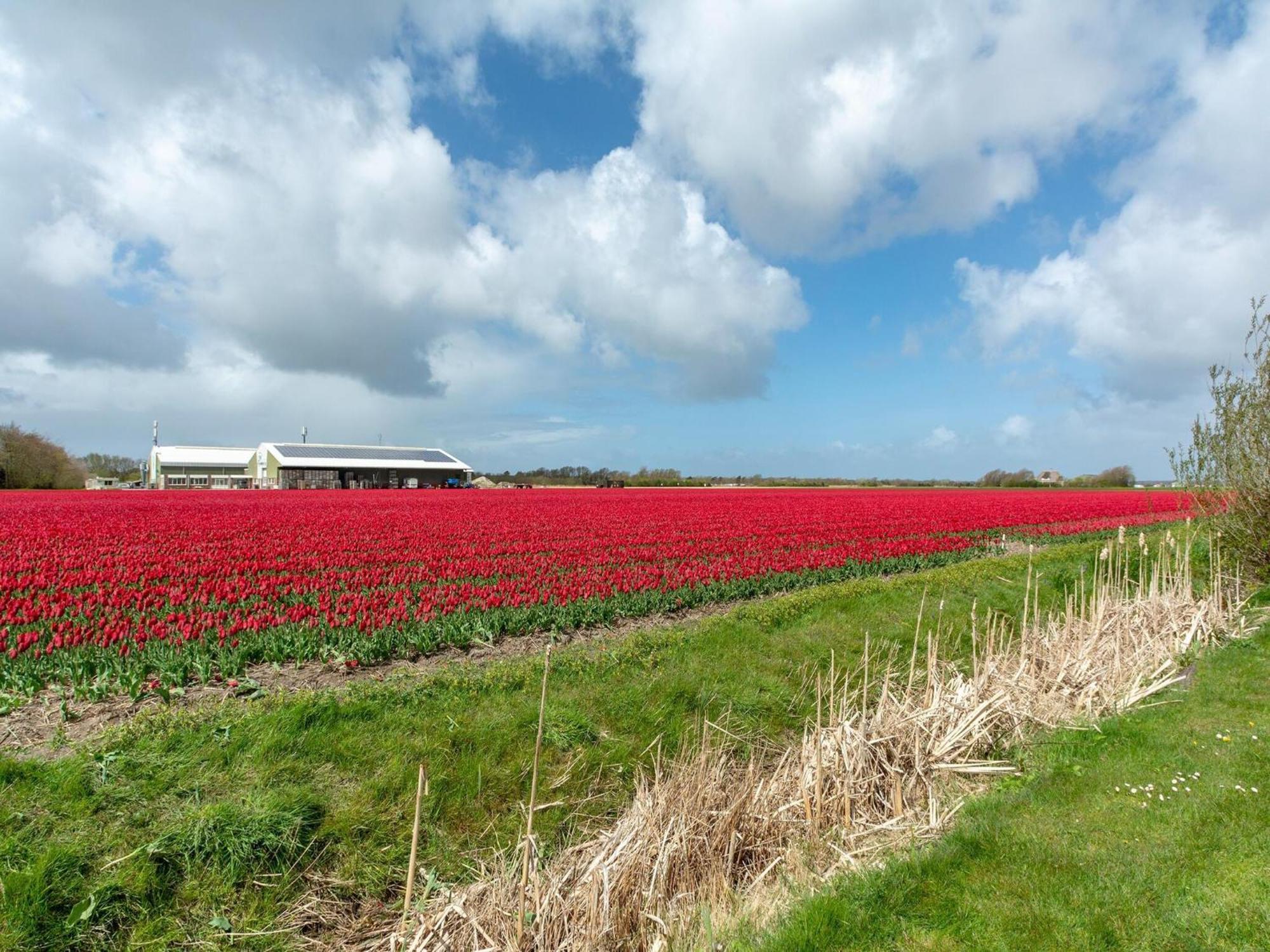 Holiday Home With Fabulous Garden Sint Maartensvlotbrug Exterior photo